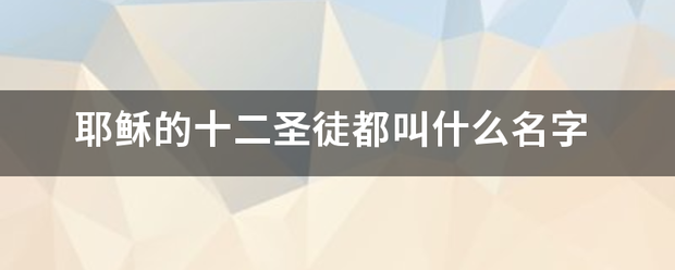 耶稣的十二圣徒都叫什么名字