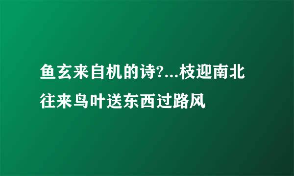 鱼玄来自机的诗?...枝迎南北往来鸟叶送东西过路风