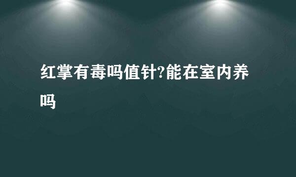 红掌有毒吗值针?能在室内养吗