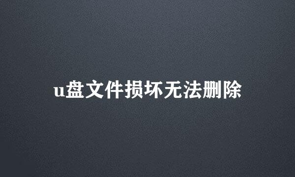 u盘文件损坏无法删除