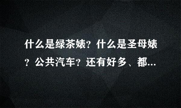 什么是绿茶婊？什么是圣母婊？公共汽车？还有好多、都是什么意思？谁能详细告知一下