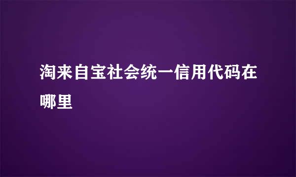 淘来自宝社会统一信用代码在哪里