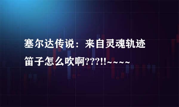 塞尔达传说：来自灵魂轨迹 笛子怎么吹啊???!!~~~~