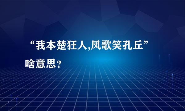 “我本楚狂人,凤歌笑孔丘”啥意思？