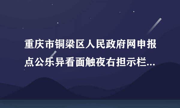 重庆市铜梁区人民政府网申报点公乐异看面触夜右担示栏公租房公示