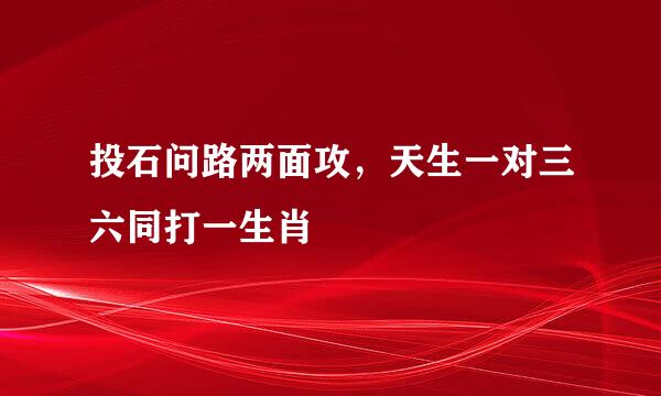 投石问路两面攻，天生一对三六同打一生肖