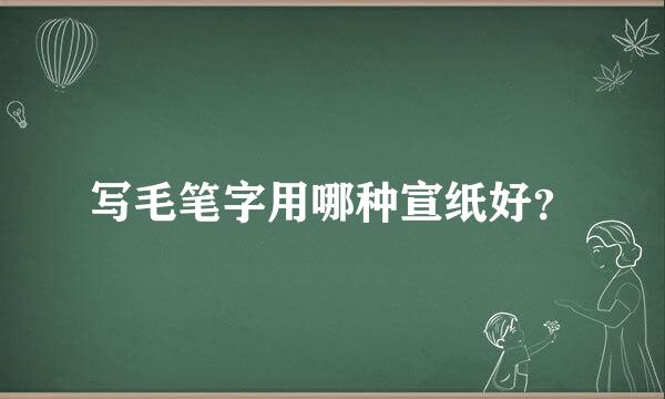 写毛笔字用哪种宣纸好？