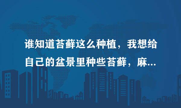 谁知道苔藓这么种植，我想给自己的盆景里种些苔藓，麻烦告诉我详细种植方法