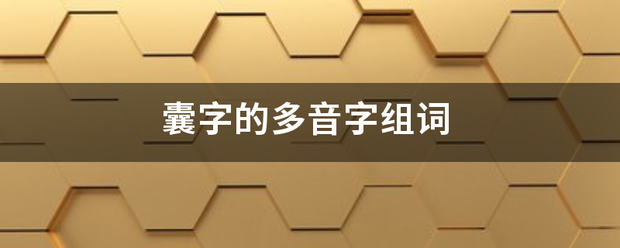 囊字的多音字组词