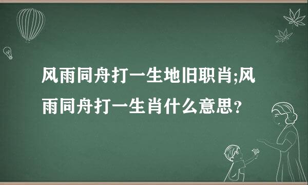 风雨同舟打一生地旧职肖;风雨同舟打一生肖什么意思？