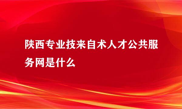 陕西专业技来自术人才公共服务网是什么