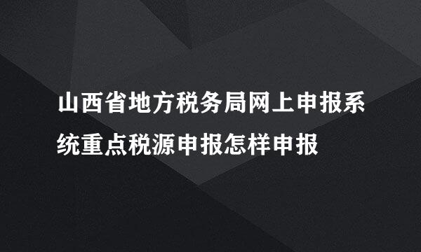 山西省地方税务局网上申报系统重点税源申报怎样申报