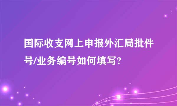 国际收支网上申报外汇局批件号/业务编号如何填写?