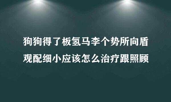 狗狗得了板氢马李个势所向盾观配细小应该怎么治疗跟照顾