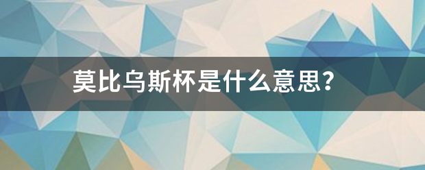 莫比乌斯杯是什么意思？