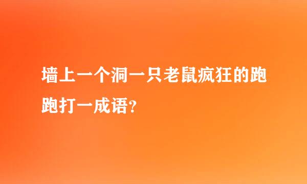 墙上一个洞一只老鼠疯狂的跑跑打一成语？