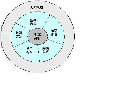 人力资源的八大职能的定义