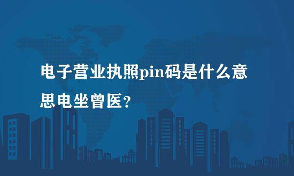 电子营业执照pin码是什么意思电坐曾医？