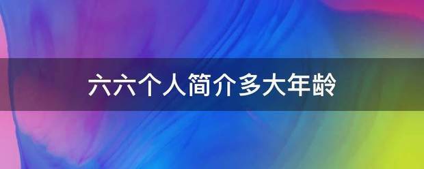 六六个人简介多大年龄