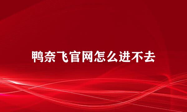 鸭奈飞官网怎么进不去