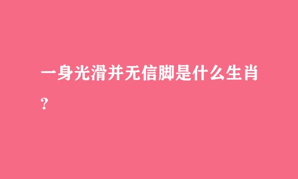 一身光滑并无信脚是什么生肖？