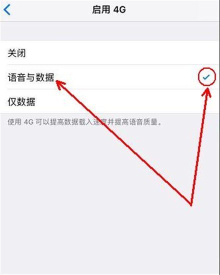 苹果手机怎么打开VOLTE