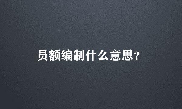 员额编制什么意思？