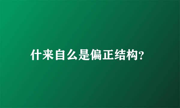 什来自么是偏正结构？