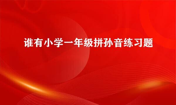 谁有小学一年级拼孙音练习题