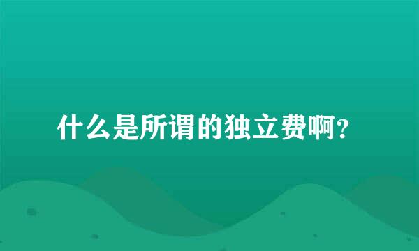 什么是所谓的独立费啊？