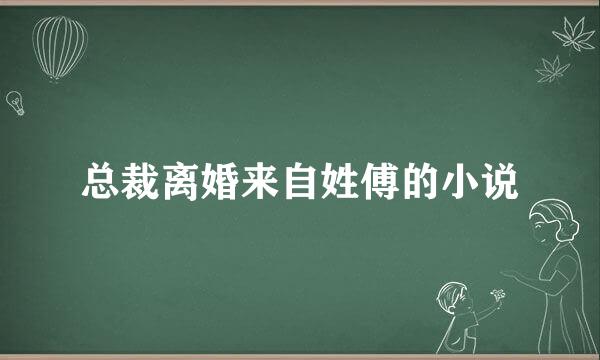 总裁离婚来自姓傅的小说