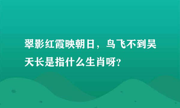 翠影红霞映朝日，鸟飞不到吴天长是指什么生肖呀？