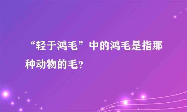 “轻于鸿毛”中的鸿毛是指那种动物的毛？