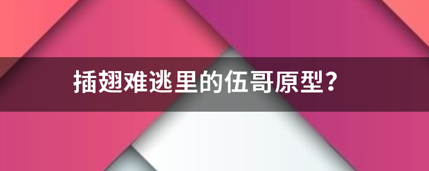 插翅难逃里来自的伍哥原型？