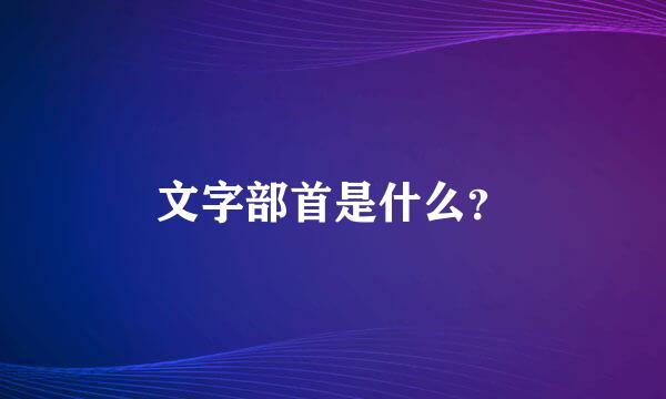 文字部首是什么？