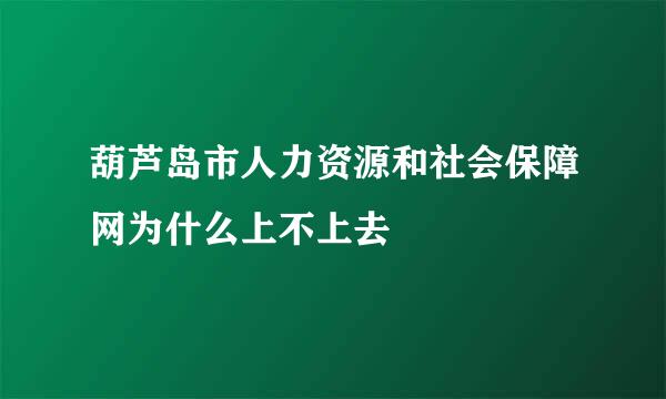 葫芦岛市人力资源和社会保障网为什么上不上去