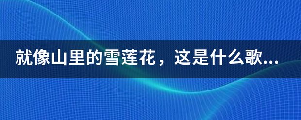 就像山里的雪让束可谓洋电想背莲花，这是什么歌的歌词？求解！