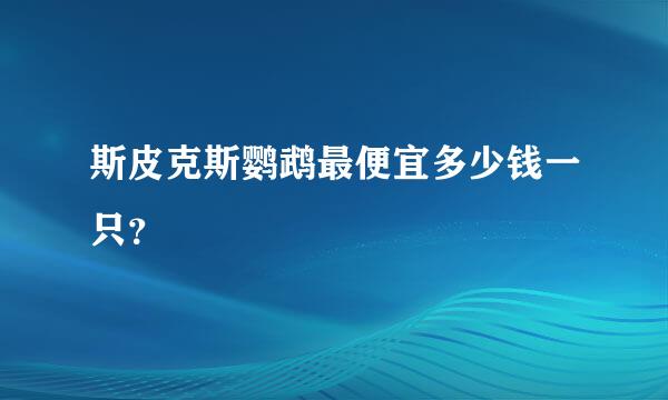 斯皮克斯鹦鹉最便宜多少钱一只？