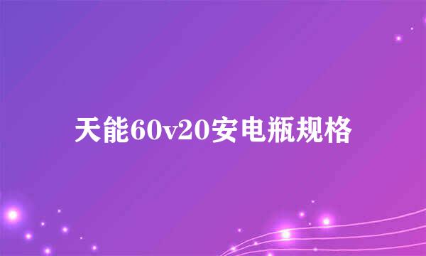 天能60v20安电瓶规格