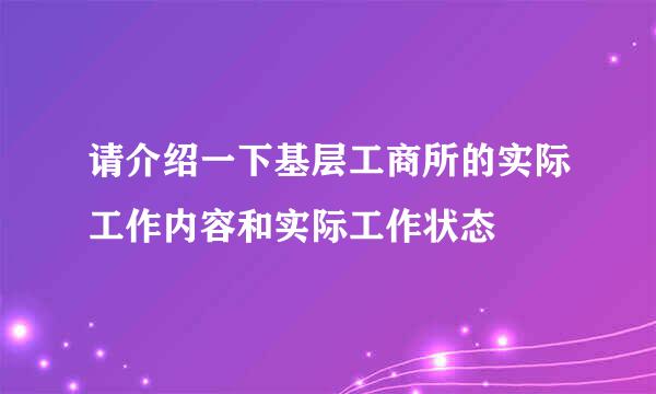 请介绍一下基层工商所的实际工作内容和实际工作状态