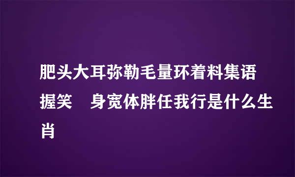 肥头大耳弥勒毛量环着料集语握笑 身宽体胖任我行是什么生肖