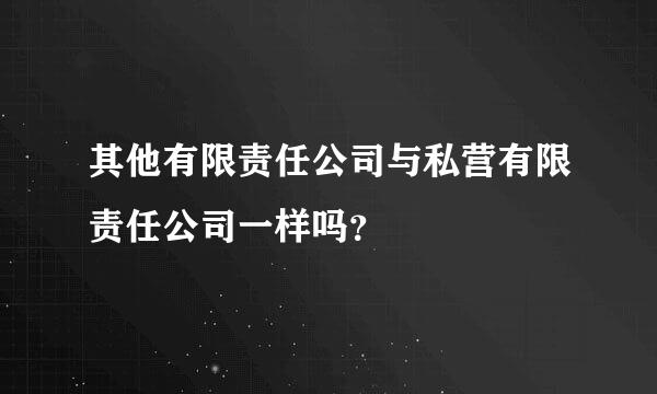 其他有限责任公司与私营有限责任公司一样吗？