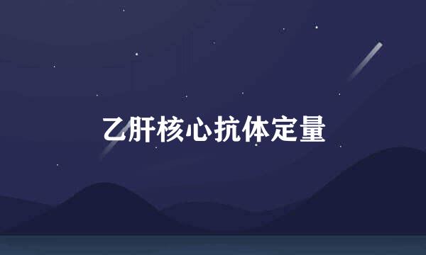 乙肝核心抗体定量