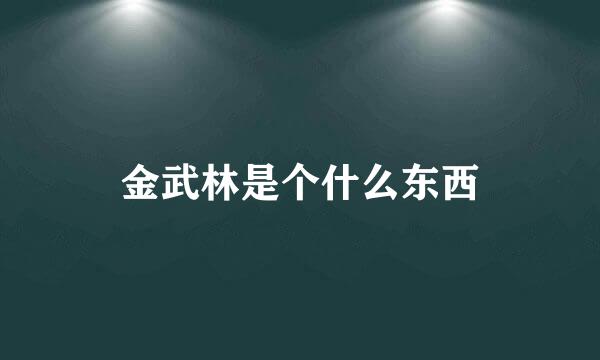 金武林是个什么东西