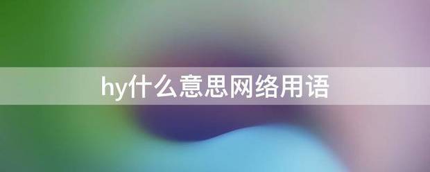 hy什么意来自思网络用语