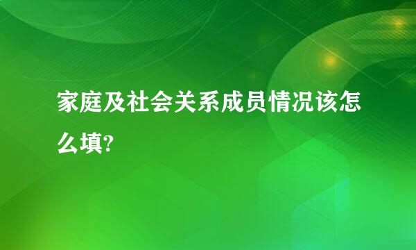 家庭及社会关系成员情况该怎么填?