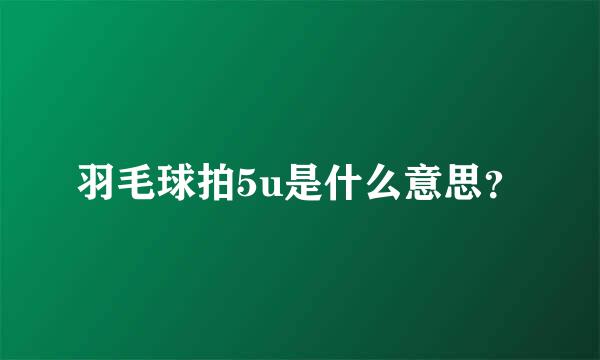 羽毛球拍5u是什么意思？