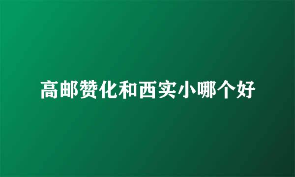 高邮赞化和西实小哪个好