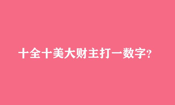 十全十美大财主打一数字？