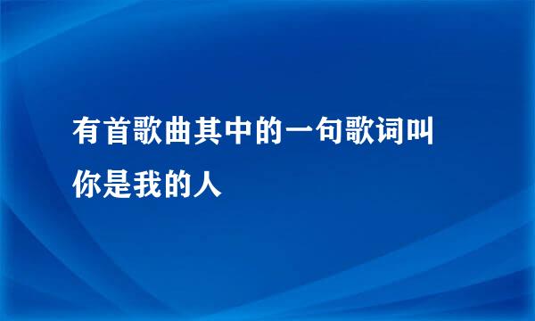 有首歌曲其中的一句歌词叫 你是我的人